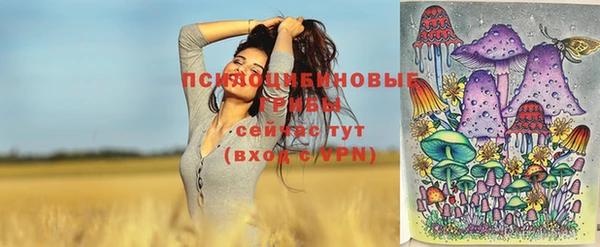 ECSTASY Покровск