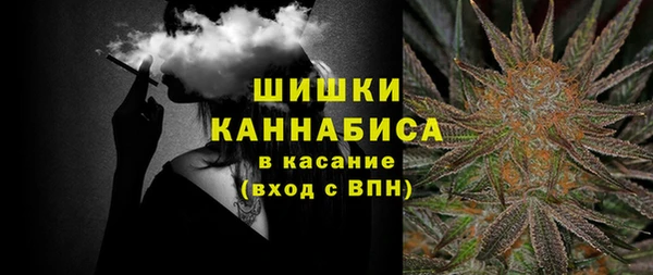 крисы Покачи