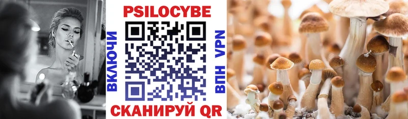 Купить  Ейск  Псилоцибиновые грибы GOLDEN TEACHER 